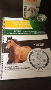 Kinesiotape / Hest / Kiropraktor / Hestekiropraktor / Dyrekiropraktor / Camilla Viken / Lier