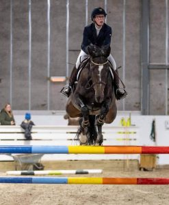 Hest / Kiropraktor / Hestekiropraktor / Dyrekiropraktor / Camilla Viken / Lier