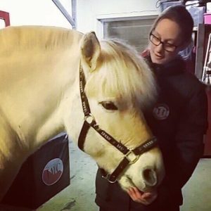 Behandling hest / Kiropraktor / Hestekiropraktor / Dyrekiropraktor / Camilla Viken / Lier