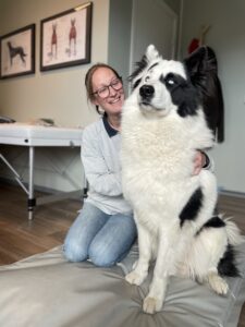 Behandling / Hund / Kiropraktor / Hundekiropraktor / Hestekiropraktor / Dyrekiropraktor / Camilla Viken / Lier