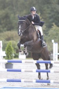 S.E. Embla / Hest / Hund / Kiropraktor / Hestekiropraktor / Dyrekiropraktor / Camilla Viken / Lier