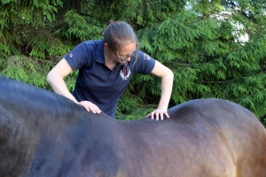 Føll / Hund / Hest / Kiropraktor / Hestekiropraktor / Dyrekiropraktor / Camilla Viken / Lier