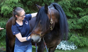Føll / Hund / Hest / Kiropraktor / Hestekiropraktor / Dyrekiropraktor / Camilla Viken / Lier