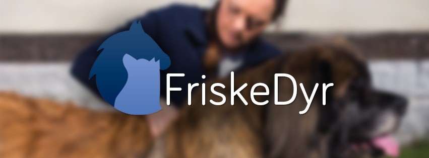 Samarbeidspartnere / FriskeDyr / Hund / Kiropraktor / Hestekiropraktor / Dyrekiropraktor / Camilla Viken / Lier