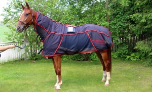 Magnetdekken / Hund / Hest / Kiropraktor / Hestekiropraktor / Dyrekiropraktor / Camilla Viken / Lier