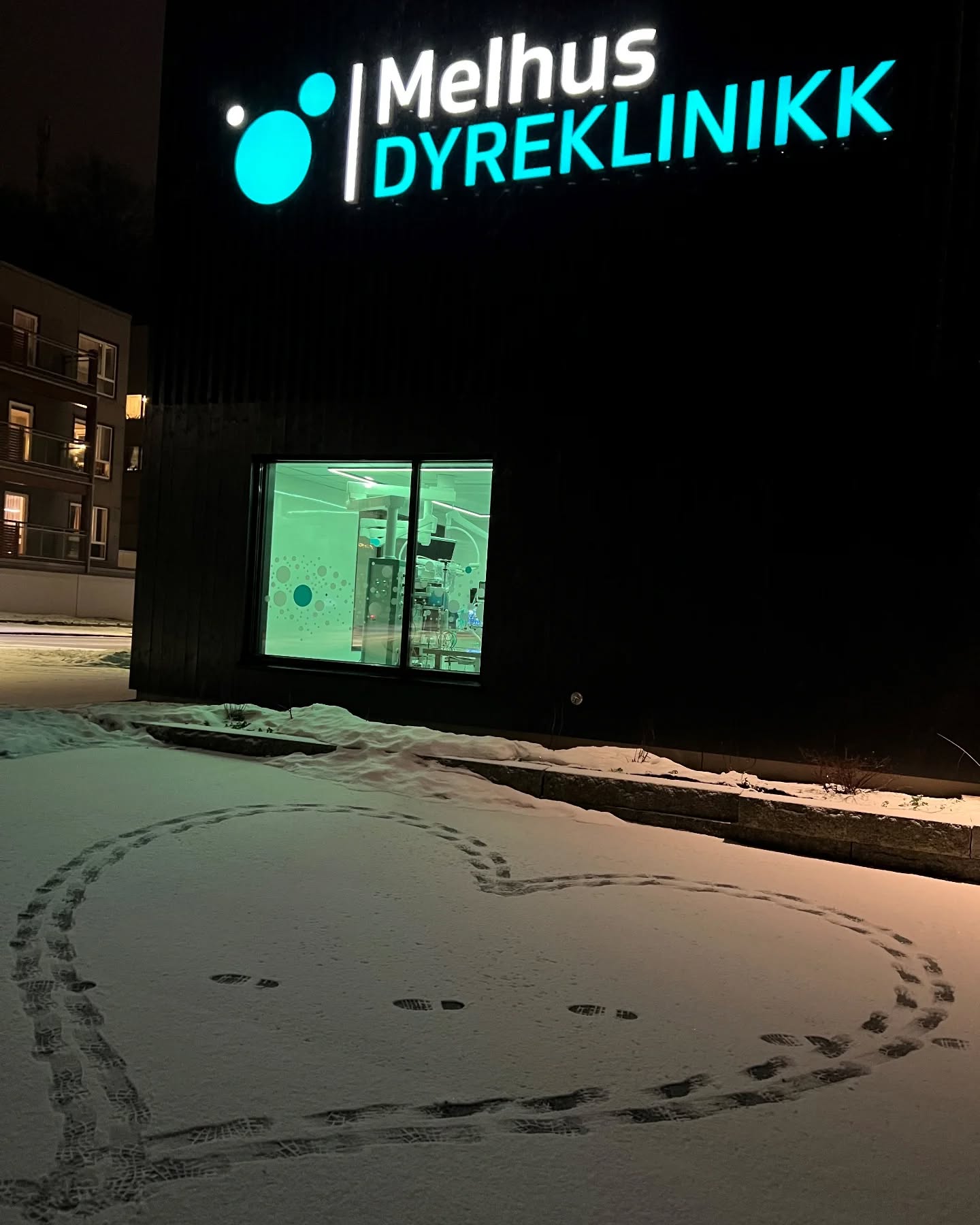 Melhus Dyreklinikk / Samarbeidspartnere / Hund / Kiropraktor / Hestekiropraktor / Dyrekiropraktor / Camilla Viken / Lier